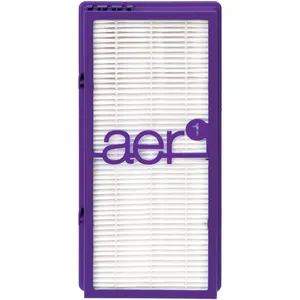 Bionaire True HEPA Permanent Air Purifier Filter - Captures Allergens, Dust, Pet Dander, 12-Month Use