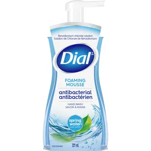 Dial Complete FHW Spring Water Foaming Hand Soap - 12oz, Refreshing Spring Water Scent