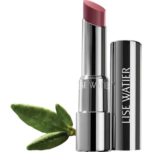 Lise Watier Rouge Fondant SuprÃªme Diana - Luxurious Lipstick with Skincare Benefits and Shine