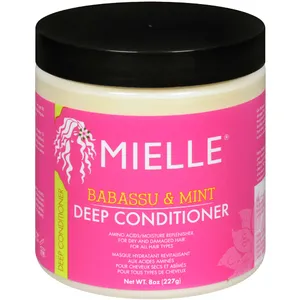 Mielle Babassu & Mint Deep Conditioner for Dry and Damaged Hair - 8 oz, Certified Organic Ingredients