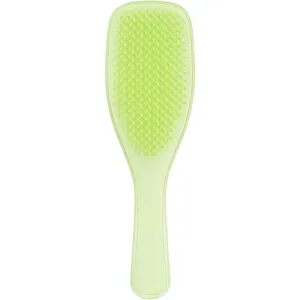 Tangle Teezer Plant Brush for Fine & Fragile Hair in Cool Matcha - Ultimate Detangler