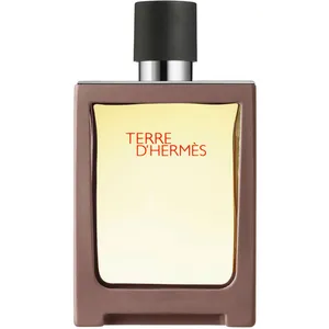 Terre d'HermÃ¨s Eau de Toilette 30ml Travel Spray - Citrus and Flint Notes, Perfect for Men