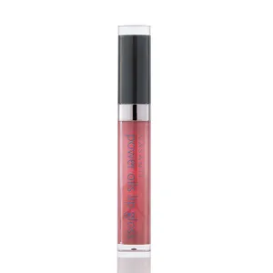 Vasanti Power Oils Lip Gloss - Nourishing, Non-Sticky, Dual Action Treatment for Smooth, Shiny Lips