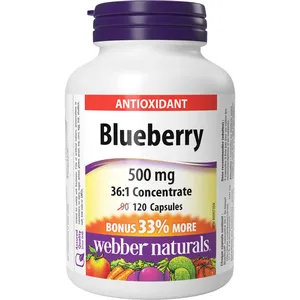 Webber Blueberry 36:1 Concentrate 500 mg - Powerful Antioxidant for Health Maintenance
